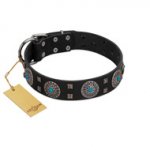 "Boundless Blue" FDT Artisan Black Leather English Bulldog Collar with Chrome Plated Brooches and Square Studs