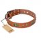 "Stunning Dress" FDT Artisan Tan Leather English Bulldog Collar with Old Bronze Look Plates and Studs