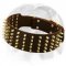 Shimmering Leather Dog Collar with Brass Spikes Designed for English Bulldog Breed
