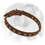 Splendid Leather Dog Collar With Studs for English Bulldog Breed