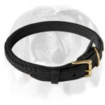 Trendy Dog Collar with braided decoration for your English Bulldog