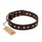"Bronze Sheen" FDT Artisan Leather English Bulldog Collar with Brass-Plated Studs