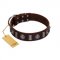 "Spiky Way" FDT Artisan Brown Leather English Bulldog Collar with Silver-Like Decorations