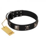 "Sea Rover" Embellished FDT Artisan Black Leather English Bulldog Collar with Chrome Plated Crossbones and Plates