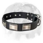 Stylish leather Dog Collar equipped with nickel plates!