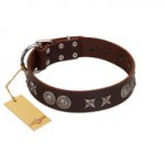 "Antique Style" Designer Handmade FDT Artisan Brown Leather English Bulldog Collar