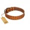 "Walk and Shine" FDT Artisan Tan Leather English Bulldog Collar with Antiqued Studs