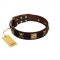 "Crazy Pirate" FDT Artisan Brown Leather English Bulldog Collar with Old Bronze-Plated Skulls and Plates