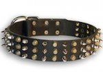 Bulldogs Leather dog collar with 3spikes+3old brass pyramids