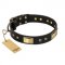 "Black Sun" FDT Artisan Leather English Bulldog Collar with Brass Plated Decorations