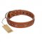 "Star Shine" Exclusive FDT Artisan Tan Leather English Bulldog Collar with Silver-Like Adornments