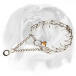 English Bulldog Dog Pinch Prong Collar Made of High-Quality Stainless Steel