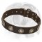 Wide Leather Dog Collar with Hand-Set Silver-like Conchos designed for English Bulldog breed