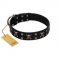 "Black Jack" Stylish Handmade FDT Artisan Black Leather English Bulldog Collar