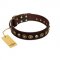 "Street Fashion" FDT Artisan Brown Leather English Bulldog Collar Adorned with Circles and Skulls