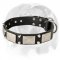 Splendid English Bulldog Collar decorated with nickel plates and pyramids