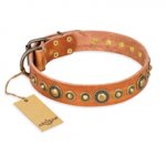 "Feast of Luxury" FDT Artisan Tan Leather English Bulldog Collar with Old Bronze Look Circles