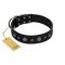 "Mr. Elegance" Designer FDT Artisan Black Leather English Bulldog Collar with Silver-Like Studs