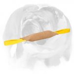 Leather English Bulldog Bite Tug for Advanced Training