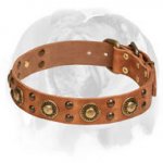 'Space-like' English Bulldog Leather Dog Collar with Brass Decor