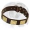 English Bulldog Breed Neatly Designed Leather Dog Collar With Hand-Set Massive Plates