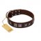 "Needle Stories" Modern FDT Artisan Brown Leather English Bulldog Collar with Square Engraved Plates and Four-Point Stars