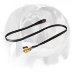 English Bulldog Extra Strong Nylon Dog Leash