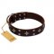 "Trendy Candy" FDT Artisan Brown Leather English Bulldog Collar Adorned with Stars and Tiny Squares