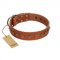 "Guard of Honour " Designer FDT Artisan Tan Leather English Bulldog Collar with Small Dotted Pyramids
