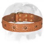 'Spring Mood' English Bulldog Stylish Leather Dog Collar