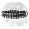 English Bulldog Fashionable “Caterpillar” Dog Collar with Buckle