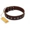 "Kingly Grace" FDT Artisan Brown Leather English Bulldog Collar with Silver-like Dotted Studs