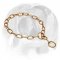 English Bulldog Choke Chain Dog Collar Perfect for Training and Walking