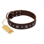 "Stellar Fairy " FDT Artisan Brown Leather English Bulldog Collar with Chrome-plated Star-like Decorations