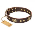 "One-of-a-Kind" FDT Artisan Handmade Decorated Brown Leather English Bulldog Collar
