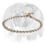 English Bulldog Herm Sprenger Dog Chain Collar Made Of Stainless Steel