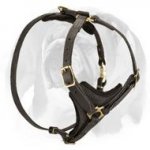Easy Tracking Leather Dog Harness for English Bulldog
