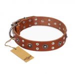 "Silver Elegance" FDT Artisan Decorated Leather English Bulldog Collar with Old Silver-Like Plated Studs and Cones
