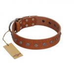 "Daintiness" Designer Handmade FDT Artisan Tan Leather English Bulldog Collar with Silver-Like Adornments