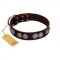 "High and Mighty" FDT Artisan Classy Brown Leather English Bulldog Collar with Embellished Brooches