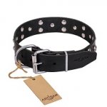 FDT Artisan 'Mystic Skulls' Decorated Leather English Bulldog Collar with Skulls and Studs 1 1/2 inch (40 mm)