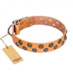 "Precious Sparkle" Exquisite FDT Artisan Tan Leather Collar for English Bulldog