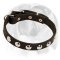 Puppy Collar Decorated With Half-Ball Studs for Gorgeous Look of your Doggie