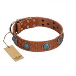 "Blue Sands" FDT Artisan Tan Leather English Bulldog Collar with Silver-like Studs and Round Conchos with Stones