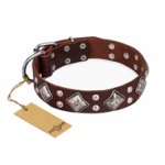 "King of Grace" FDT Artisan Stylish Leather English Bulldog Collar with Old Silver-Like Plated Decorations