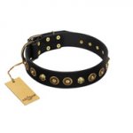 "Reckless Mutt" FDT Artisan Black Leather English Bulldog Collar with Skulls and Brooches
