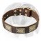 Astonishing Leather Dog Collar with exclusively designed brass plates