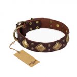 "Golden Square" FDT Artisan Brown Leather English Bulldog Collar with Large Squares