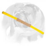 Puppy Soft Leather Bite Tug for English Bulldog Training