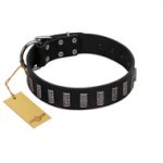 "Black Prince" Handmade FDT Artisan Black Leather English Bulldog Collar with Silver-Like Adornments